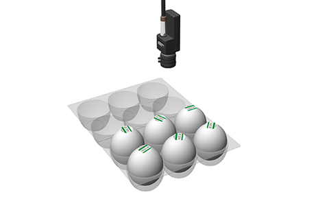 Checking existence of label on the eggs